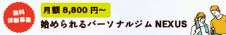 NEXUS（ネクサス）仙台店のバナー